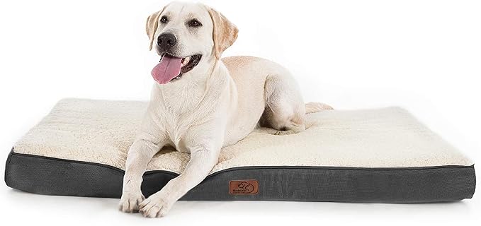 Large Orthopedic Washable Dog Bed
