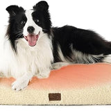 Large Orthopedic Washable Dog Bed S