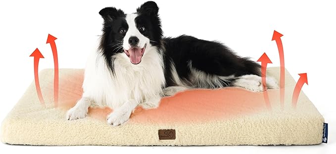 Large Orthopedic Washable Dog Bed S