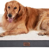 Large Orthopedic Washable Dog Bed S