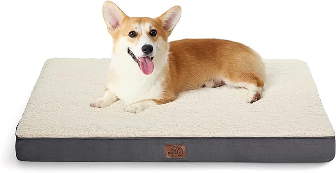 Large Orthopedic Washable Dog Bed