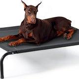 Elevated Dog Cot Bed with Breathable Mesh