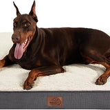 Large Orthopedic Washable Dog Bed S