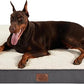 Large Orthopedic Washable Dog Bed