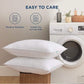 Prewashed Pillows