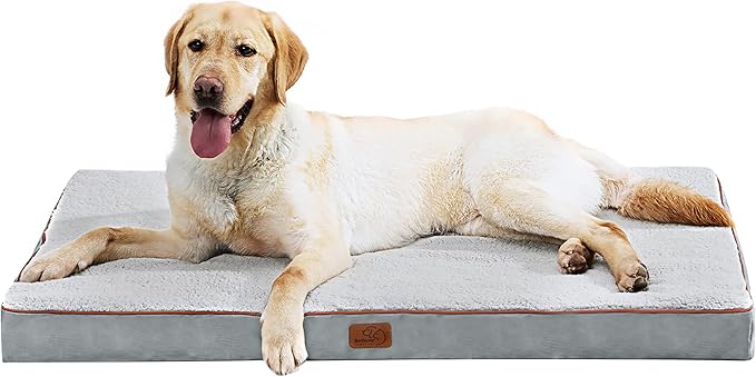 Large Orthopedic Washable Dog Bed