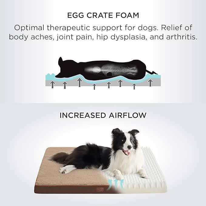 Egg Crate Foam Dog Bed