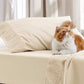 Ruched Sheet Set