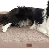 Large Orthopedic Washable Dog Bed S