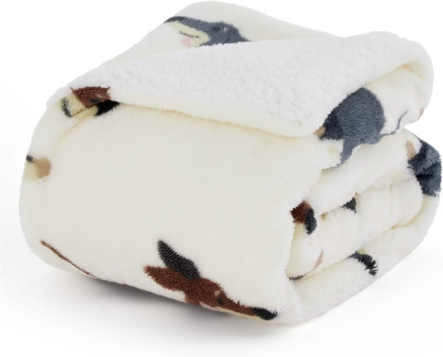 Printed Throw Sherpa Blanket Print-dachshund