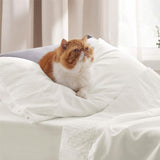 Ruched Sheet Set-1