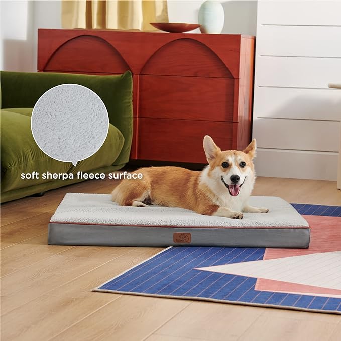 Large Orthopedic Washable Dog Bed S