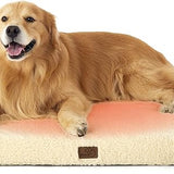 Large Orthopedic Washable Dog Bed S