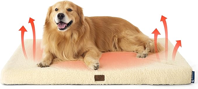 Large Orthopedic Washable Dog Bed