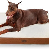 Large Orthopedic Washable Dog Bed S