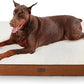 Large Orthopedic Washable Dog Bed