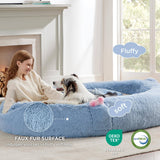 Human-Sized Dog Bed