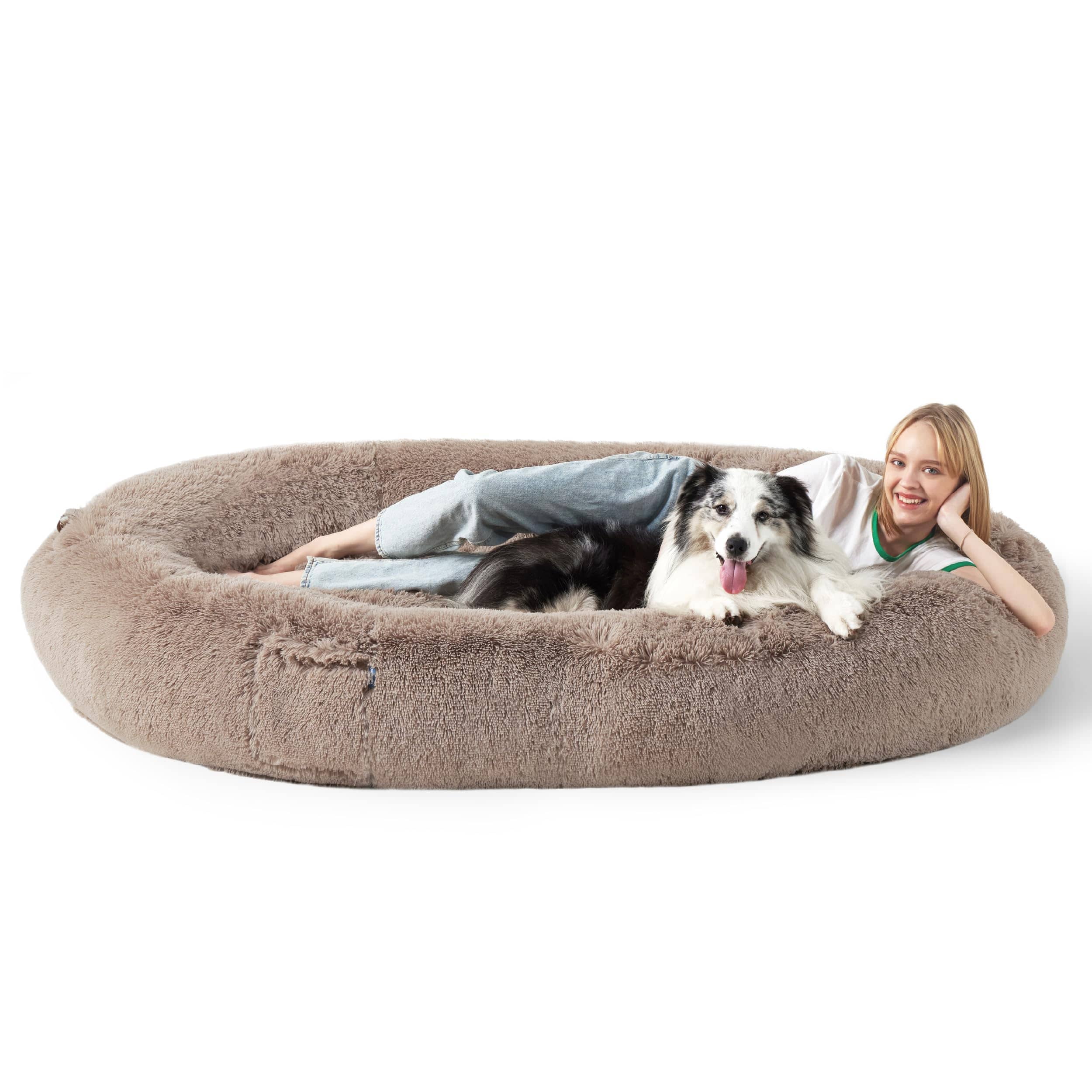 Human-Sized Dog Bed