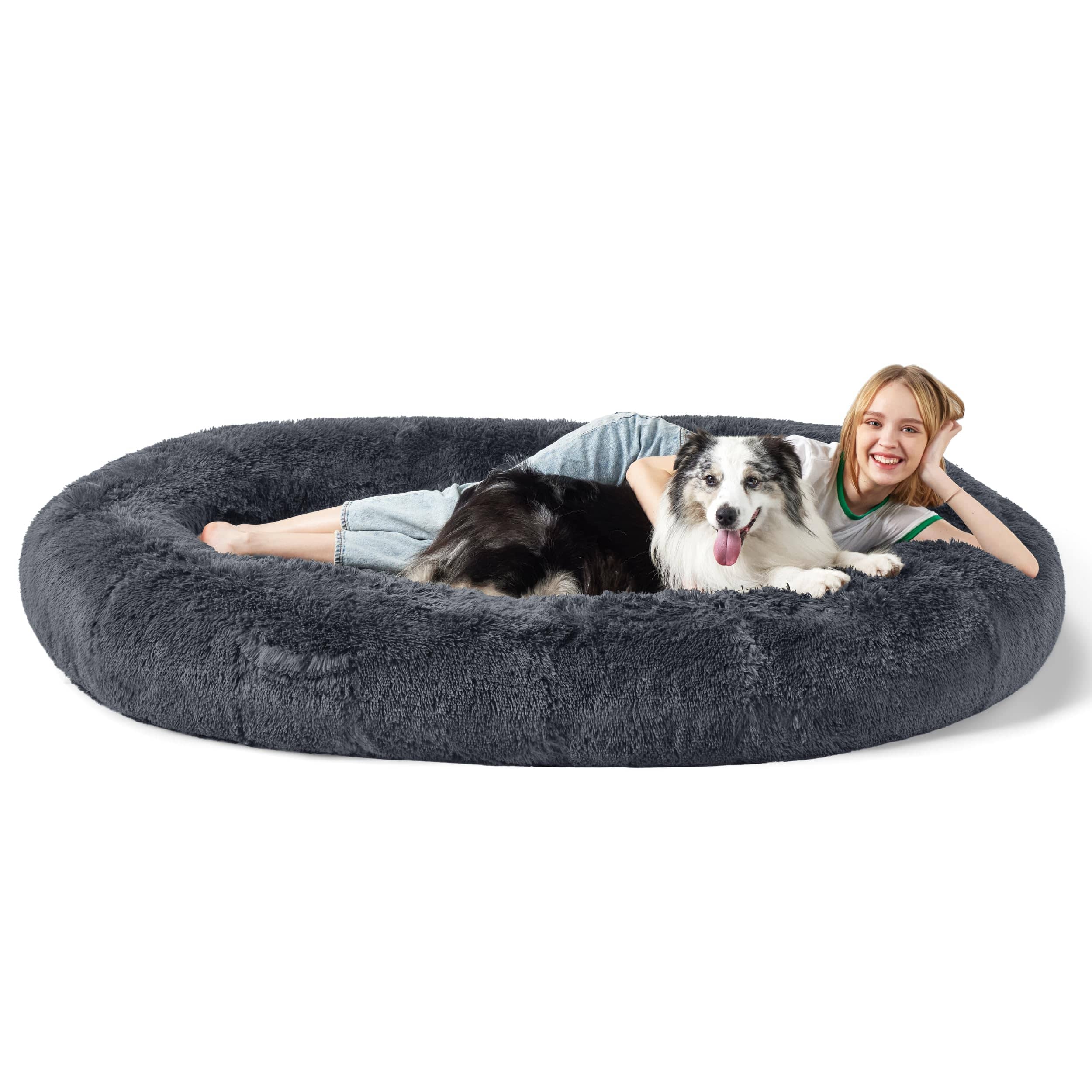 Human-Sized Dog Bed