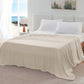 Reversible Cooling Blanket