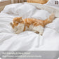 Washed Cotton Duvet Cover