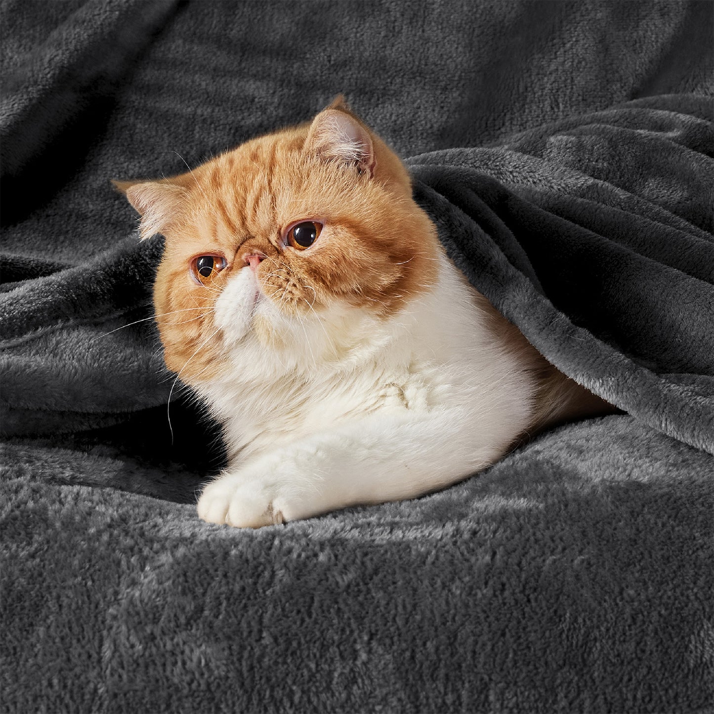 GentleSoft™ Flannel Fleece Blanket 280gsm
