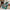 Christmas Penguin Green Sherpa Throw Blanket