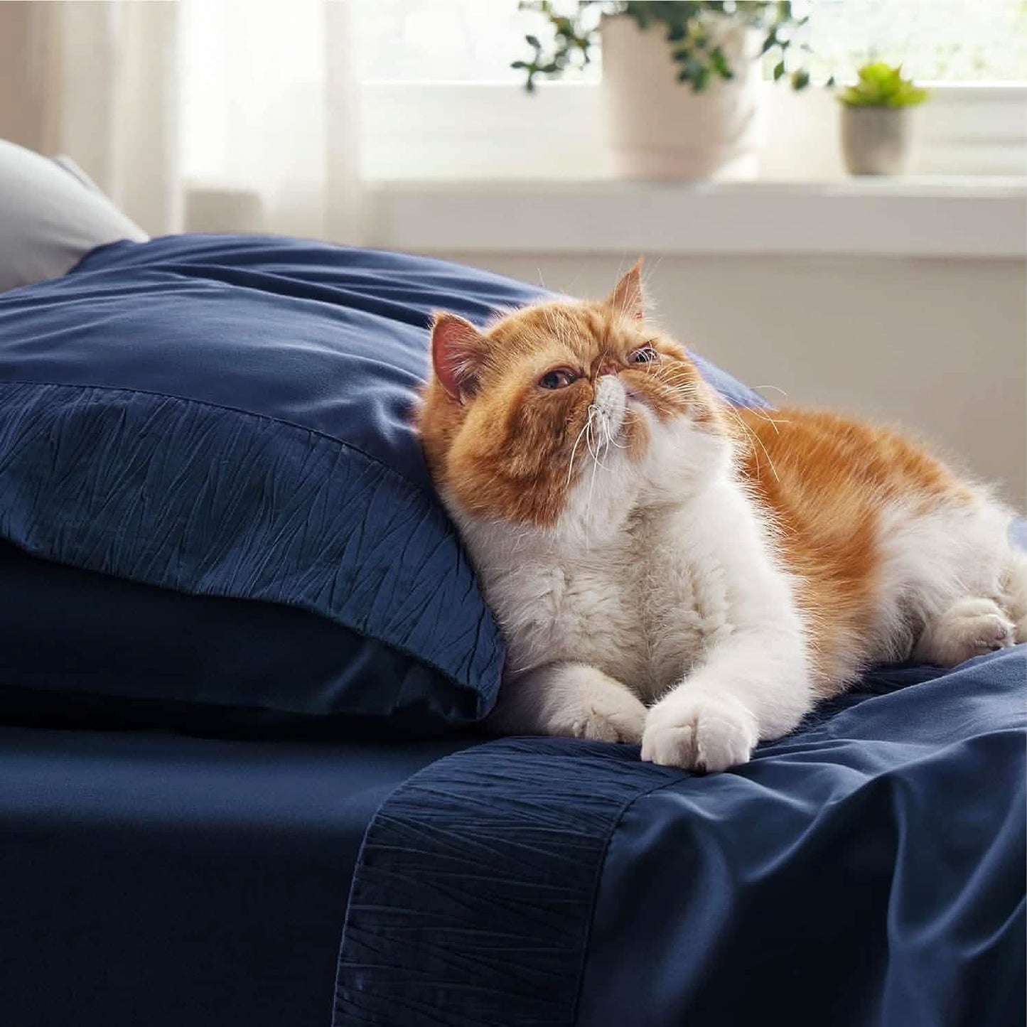 Ruched Sheet Set