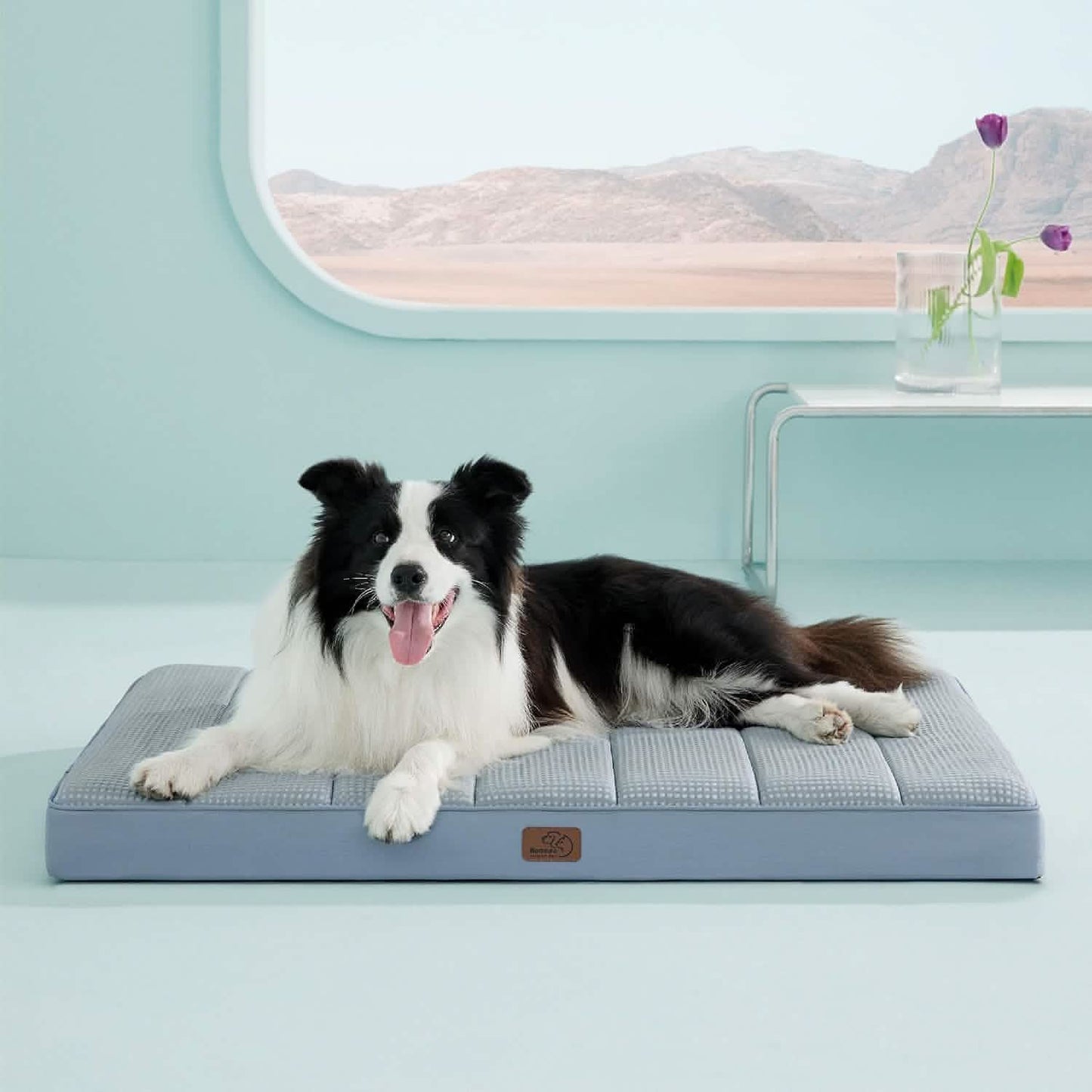 Egg Crate Foam Dog Bed