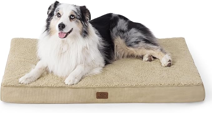 Large Orthopedic Washable Dog Bed S