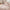Prewashed Plain Comforter Set