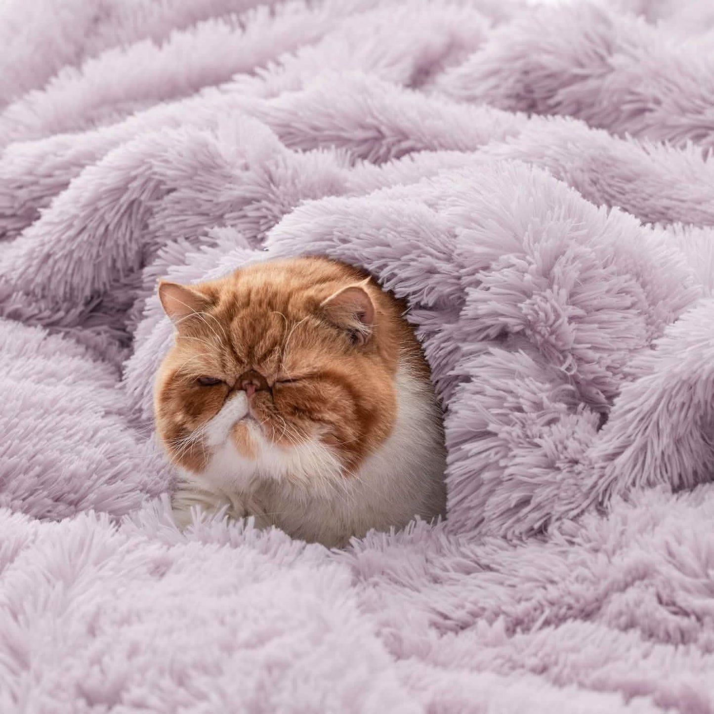 Fuzzy Faux Fur Blanket