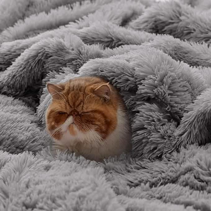 Fuzzy Faux Fur Blanket