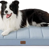 Large Orthopedic Washable Dog Bed S