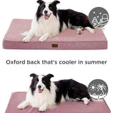 Large Orthopedic Washable Dog Bed S