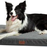 Large Orthopedic Washable Dog Bed S