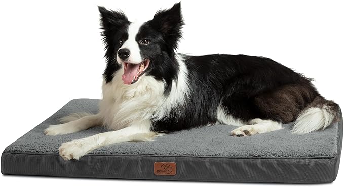 Large Orthopedic Washable Dog Bed
