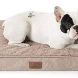 Large Orthopedic Washable Dog Bed S