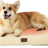 Large Orthopedic Washable Dog Bed S