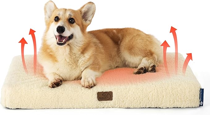 Large Orthopedic Washable Dog Bed