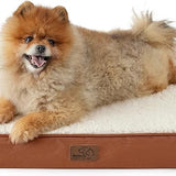 Large Orthopedic Washable Dog Bed S