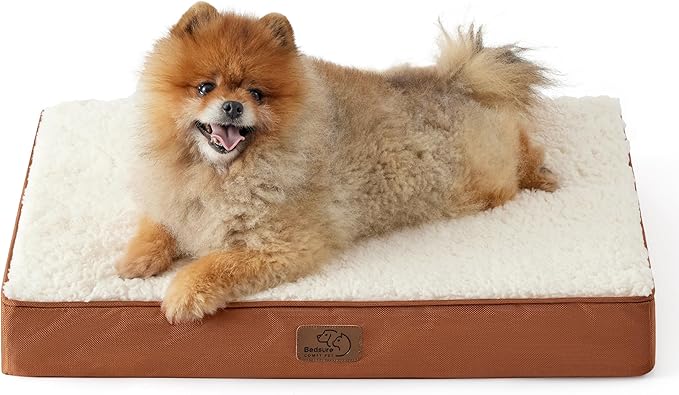 Large Orthopedic Washable Dog Bed