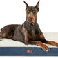 Large Orthopedic Washable Dog Bed