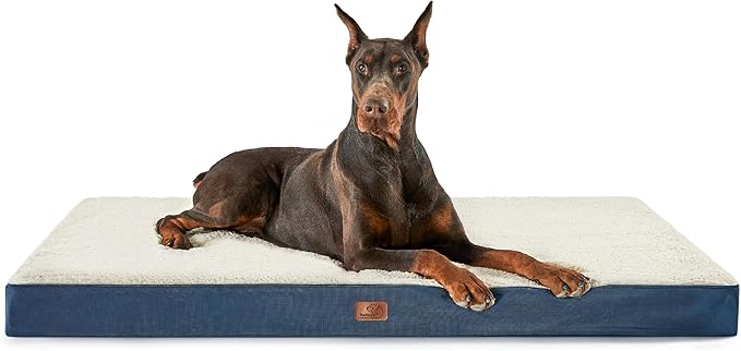Large Orthopedic Washable Dog Bed