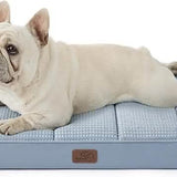 Large Orthopedic Washable Dog Bed S