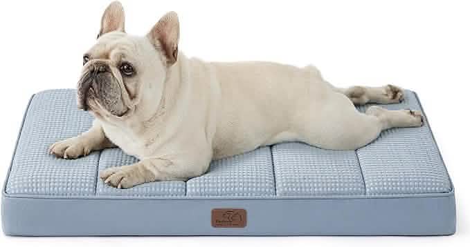 Egg Crate Foam Dog Bed