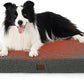Large Orthopedic Washable Dog Bed