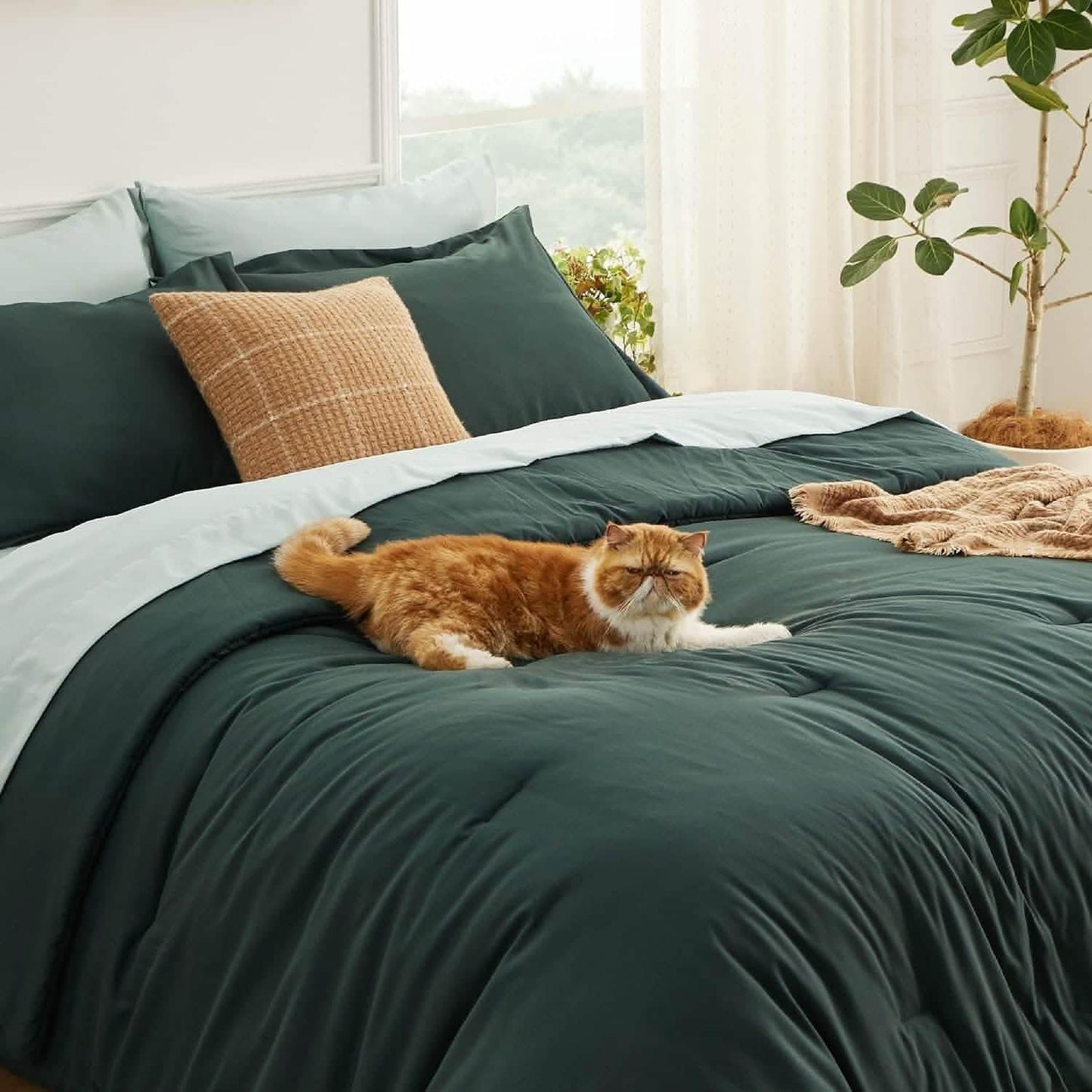 Dual-Tone Bed-in-a-Bag