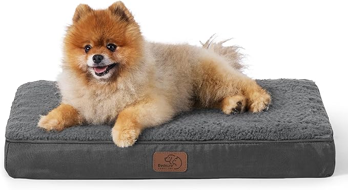 Large Orthopedic Washable Dog Bed