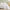 Polyester and Rayon Derived Duvet Cover Set